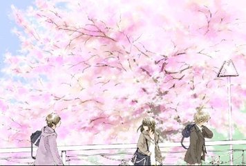 深入了解 51豆奶短视频App